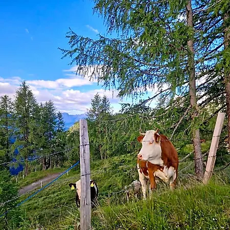Hotel Almgasthaus Glocknerblick Mörtschach