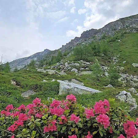 Almgasthaus Glocknerblick Hotel *